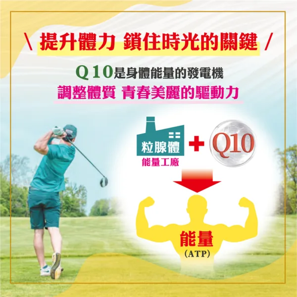 職人Q10－超級Ｑ10 輔芯Ｒ2SP膠：圖片 3