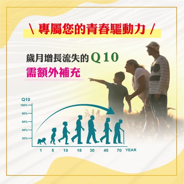 職人Q10－超級Ｑ10 輔芯Ｒ2SP膠：圖片 4