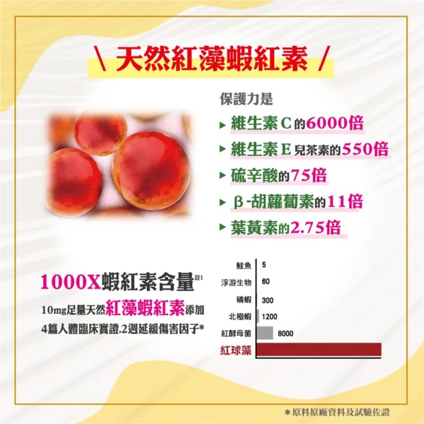職人Q10－超級Ｑ10 輔芯Ｒ2SP膠：圖片 5