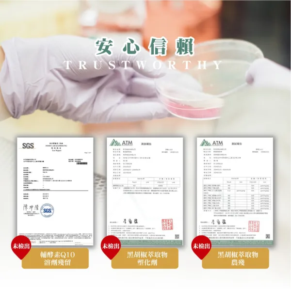 職人Q10－超級Ｑ10 輔芯Ｒ2SP膠：圖片 10